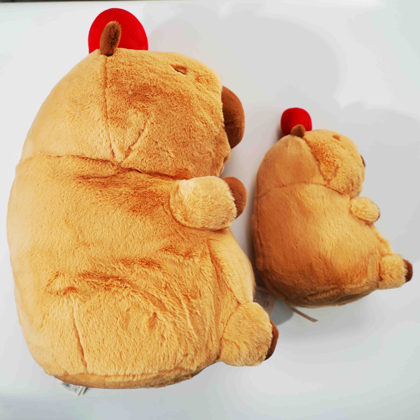 Peluches de carpincho (22 cm, 33 cm y 48 cm)
