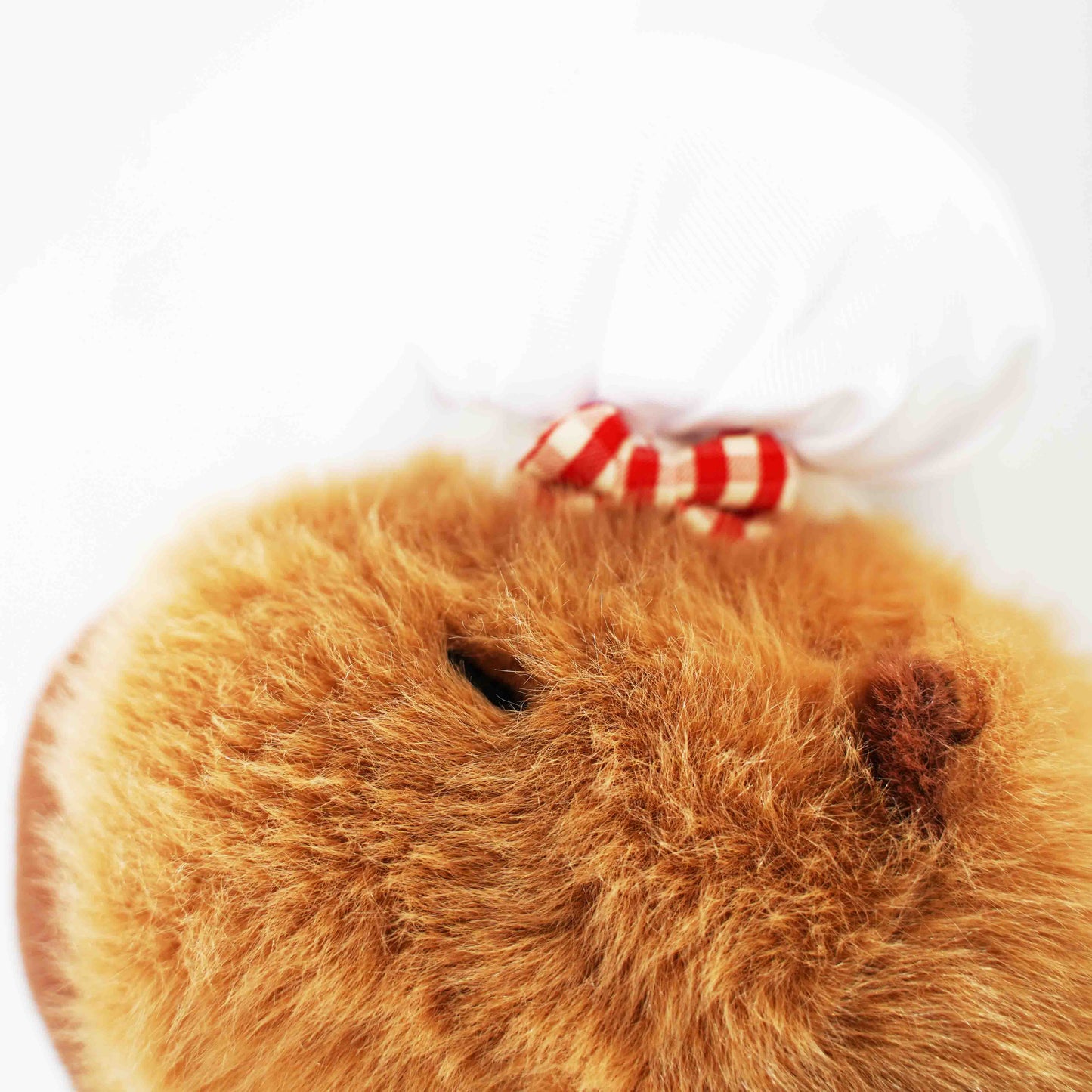 Peluche de carpincho de 22 cm/33 cm