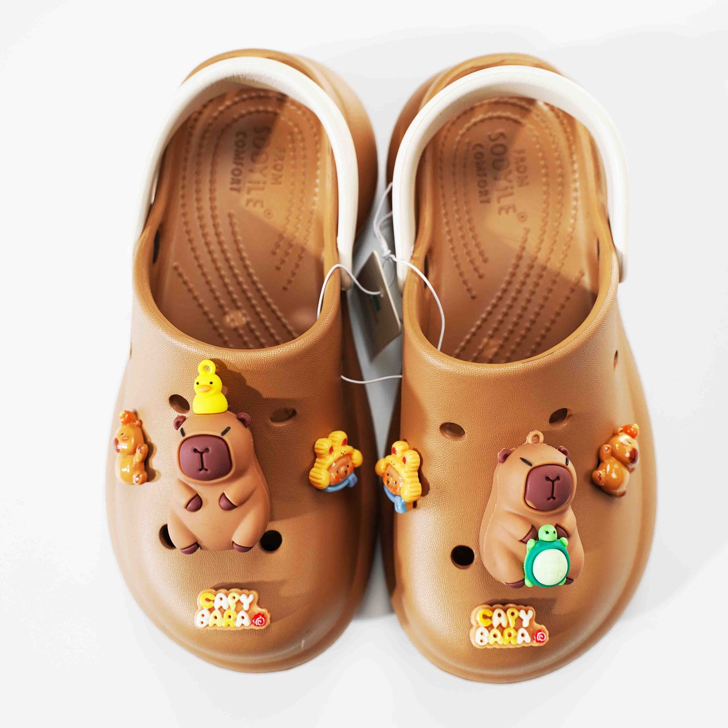 Capybara Shoes