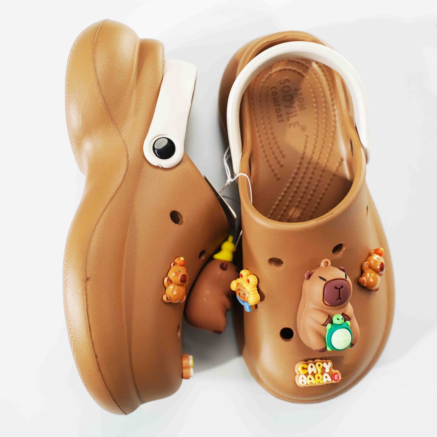 Capybara Shoes