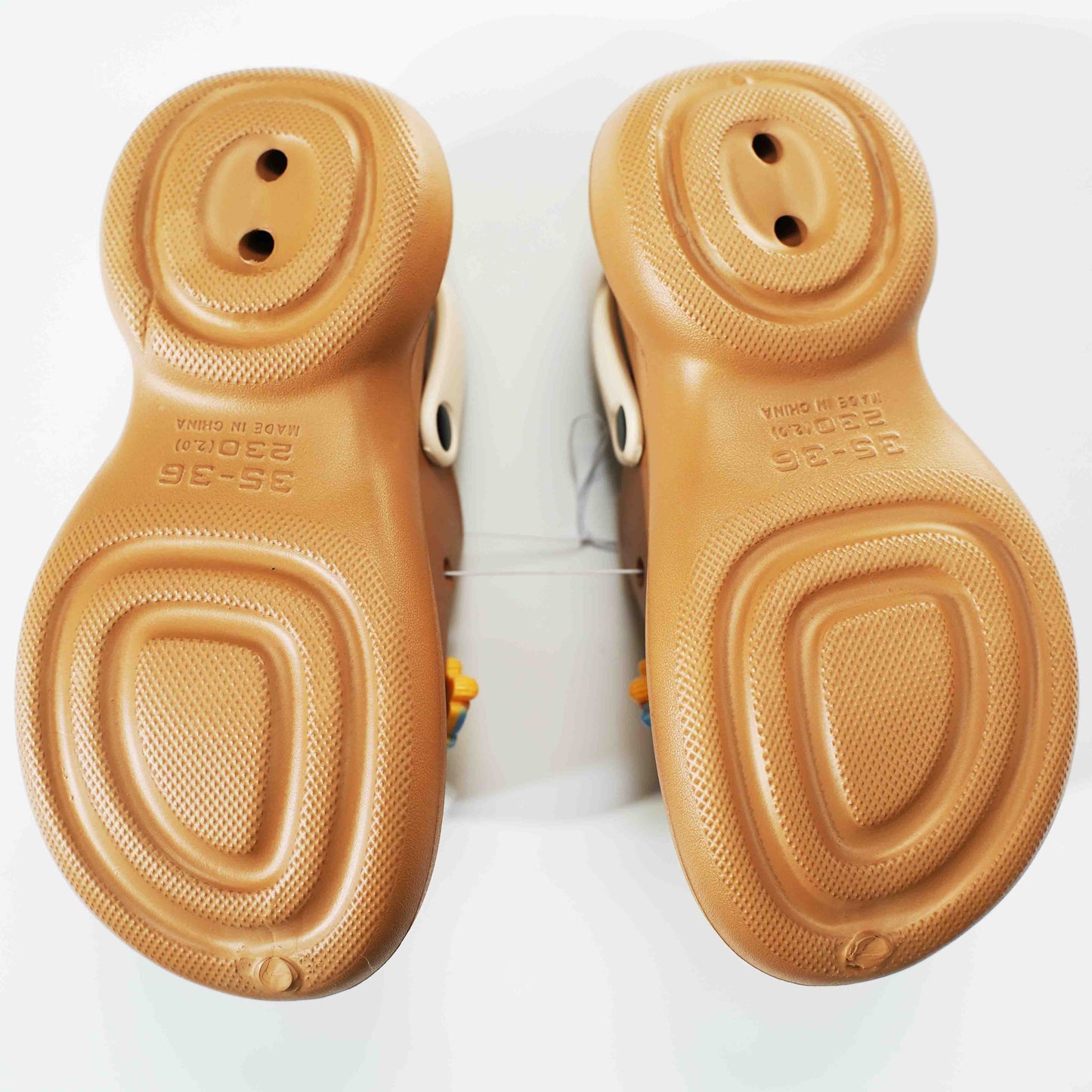 Capybara Shoes